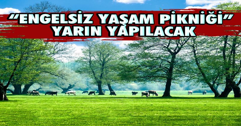 “Engelsiz Yaşam Pikniği” Yarın Yapılacak