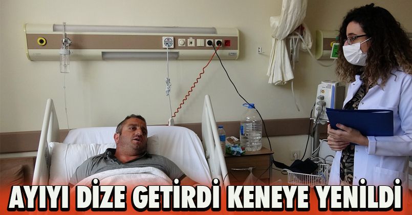 Ayıyı dize getirdi, keneye yenildi