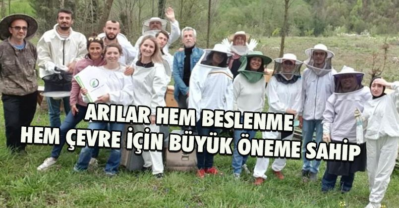 Türkiye arı elçilerini arıyor projesiyle gelecek koruma altına alınıyor