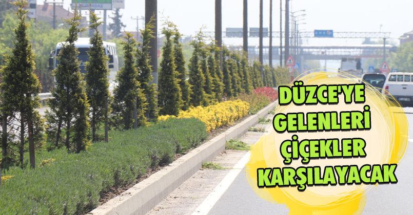 Düzce'ye Gelenleri Çiçekler Karşılayacak