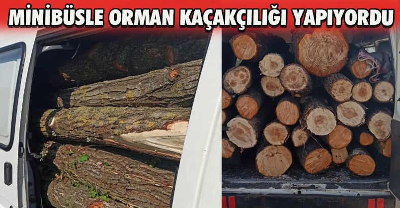 Minibüsle kaçak ağaç sevkiyatına jandarma izin vermedi