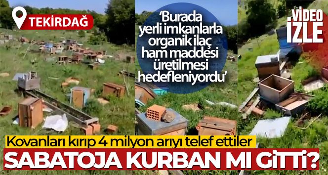 Tekirdağ'da kovanları kırıp 4 milyon arıyı telef ettiler