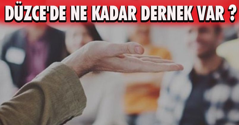 Düzce'de Ne Kadar Dernek Var ?