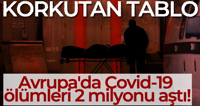 DSÖ: 'Avrupa'da Covid-19 ölümleri 2 milyonu aştı'