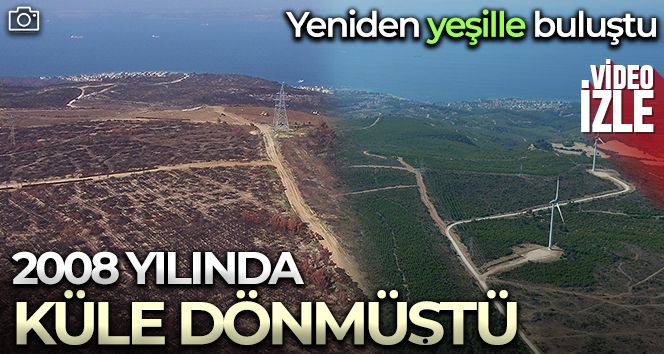 Çanakkale'de 2008 yılında küle dönen alan yeniden yeşillendi