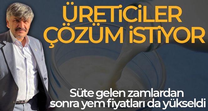 Süte gelen zamdan sonra yem fiyatları da yükseldi