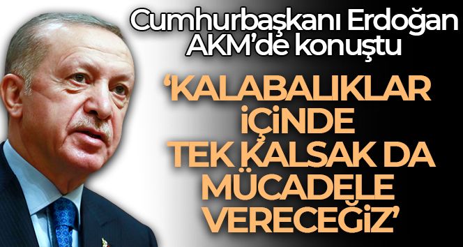 Cumhurbaşkanı Erdoğan: ' Kalabalıklar içinde yalnız da kalsak mücadeleyi vereceğiz'