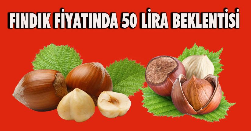 Yeni sezon fındık fiyatlarında 50 lira beklentisi