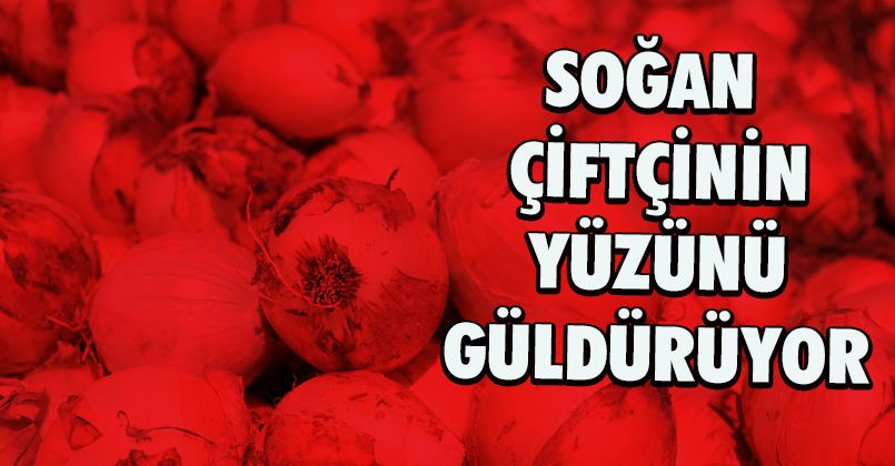 Soğan çiftçinin yüzünü güldürüyor