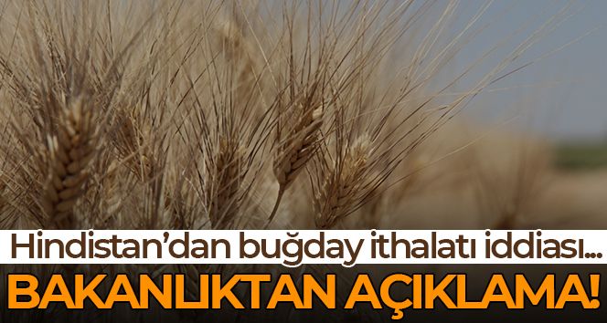 Tarım ve Orman Bakanlığından 'ithal buğday' açıklaması