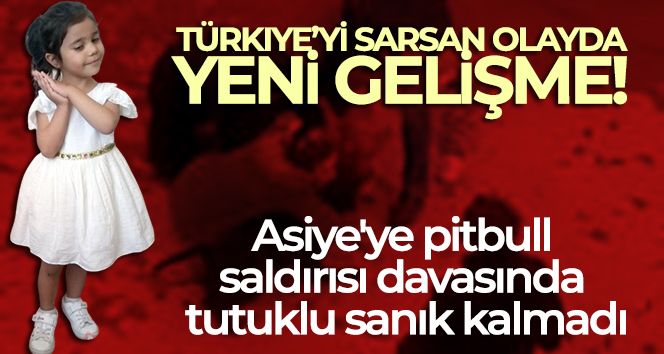 Asiye'ye pitbull saldırısı davasında tutuklu sanık kalmadı