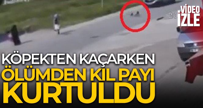 Köpekten kaçarken az daha canından oluyordu