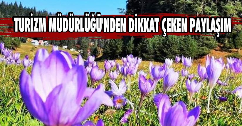 Turizm Müdürlüğü'nden Dikkat Çeken Paylaşım