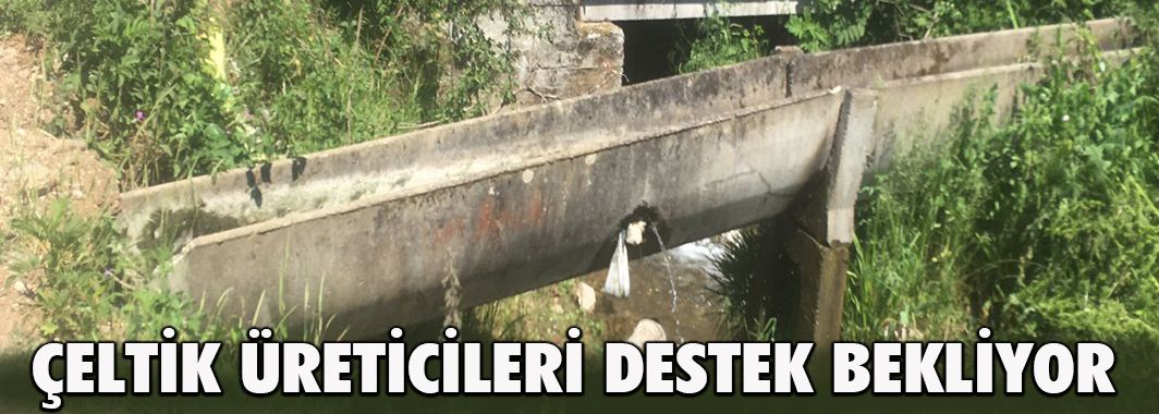 Çeltik üreticileri destek bekliyor
