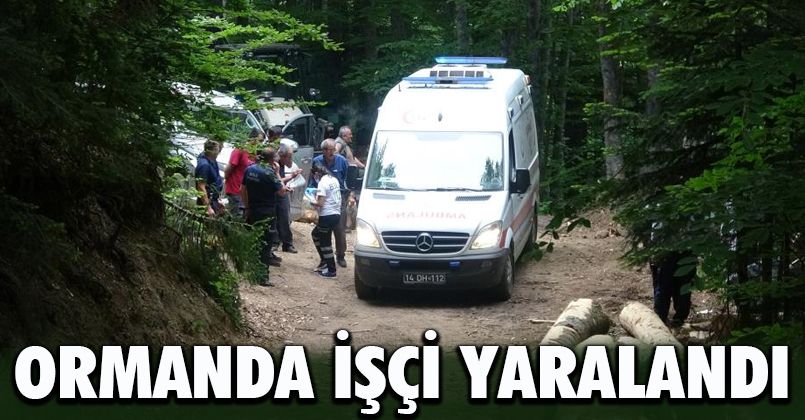Kestiği ağacın parçası kafasına çarpan işçi hastaneye kaldırıldı