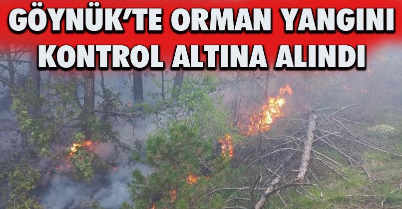 Göynük’te orman yangını kontrol altına alındı