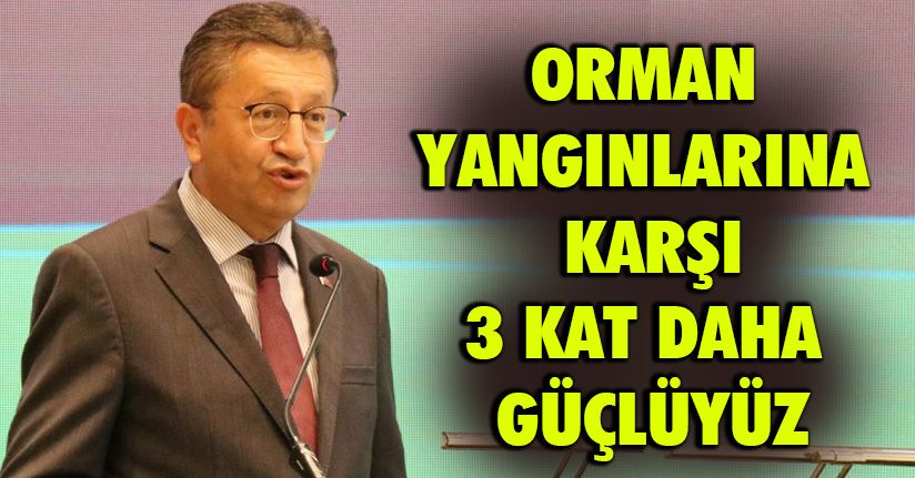 20 Yılda Yanan Ormanlardan Fazlasını 1 Yılda Kaybettik