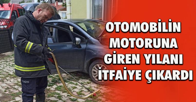 Otomobilin motoruna giren yılanı itfaiye çıkardı