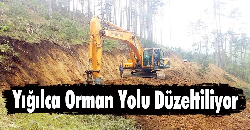 Yığılca Orman Yolu Düzeltiliyor