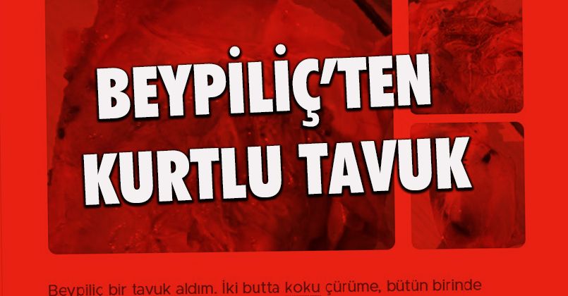 Beypiliç'ten Kurtlu Tavuk Açıklaması