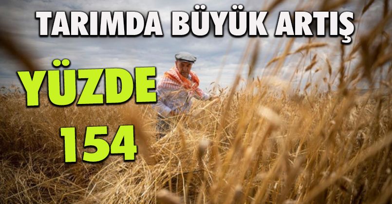 Tarım-ÜFE yıllık yüzde 154,97 arttı