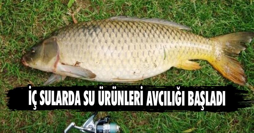 İç Sularda Su Ürünleri Avcılığı Başladı