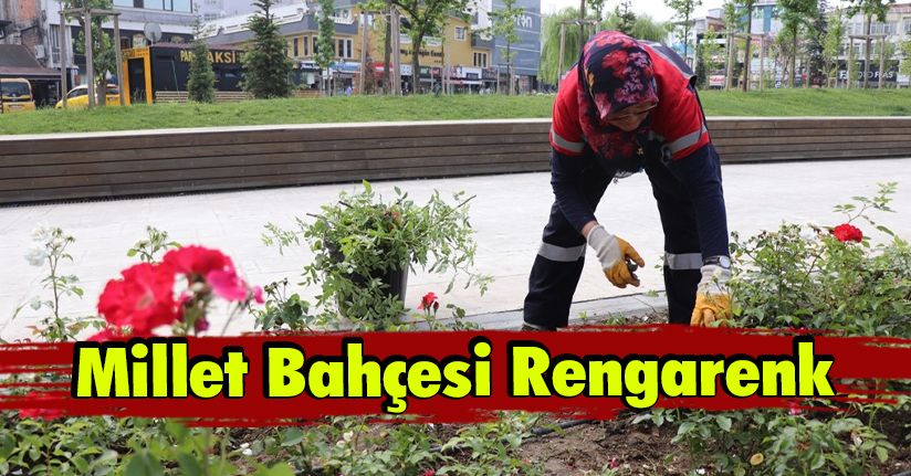 Millet Bahçesi Rengarenk