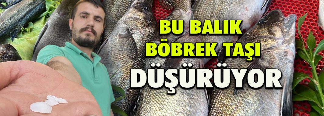 Bu balık böbrek taşı düşürüyor