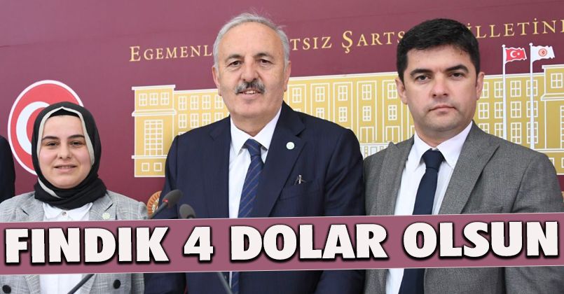 Fındık 4 Dolar Olsun