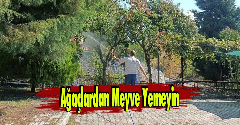 Ağaçlardan Meyve Yemeyin