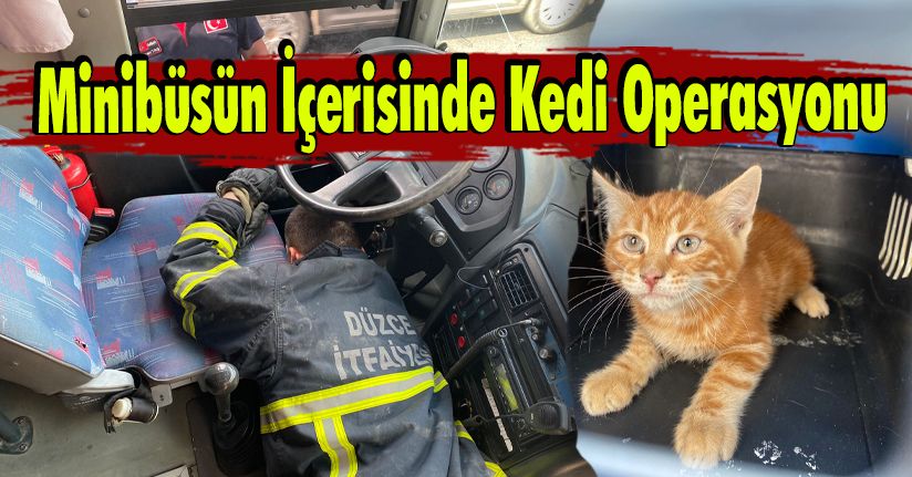 Minibüsün İçerisinde Kedi Operasyonu