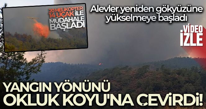 Yangın yönünü Okluk Koyu'na çevirdi