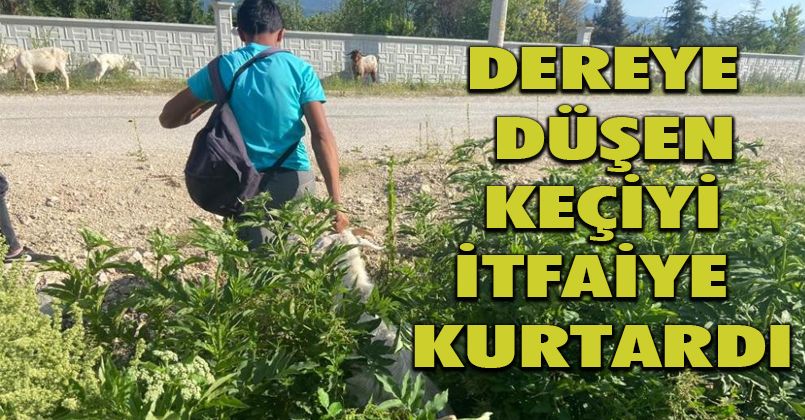 Dereye düşen keçiyi itfaiye kurtardı