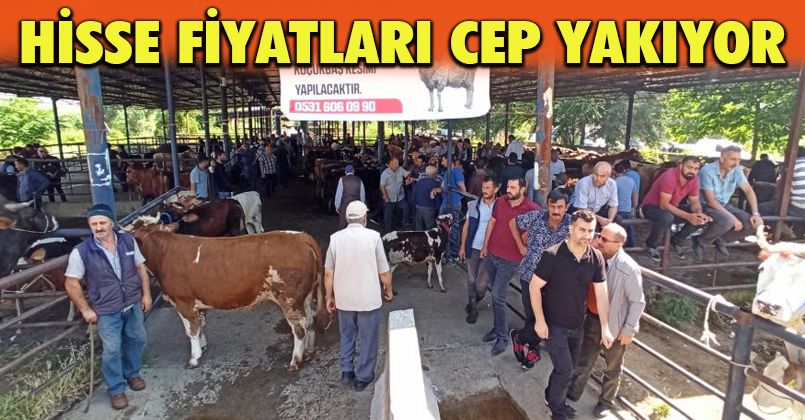 Kurbanlıklar pazara indi sıkı pazarlıklar başladı