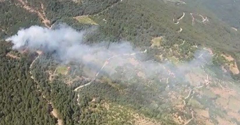 İzmir'de ormanlık alanda yangın kontrol altında