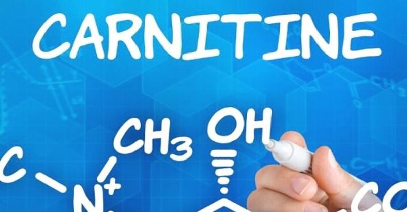 Karnitin Nedir? Faydaları Nelerdir?