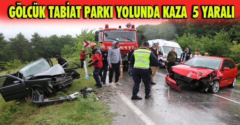 Gölcük Tabiat Parkı yolunda kaza: 5 yaralı