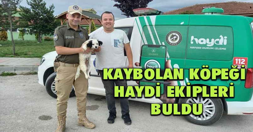 Kaybolan köpeği HAYDİ ekipleri buldu