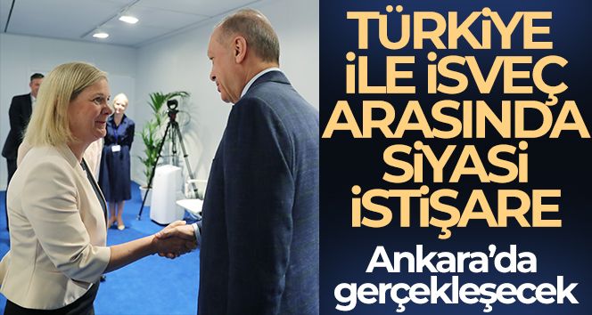 Türkiye ile İsveç siyasi istişare gerçekleştirecek