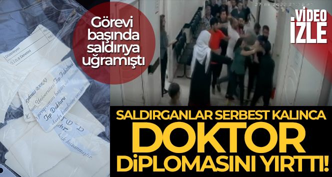 Saldırganlar serbest kalınca doktor diplomasını yırttı