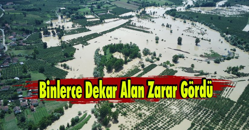 Binlerce Dekar Alan Zarar Gördü