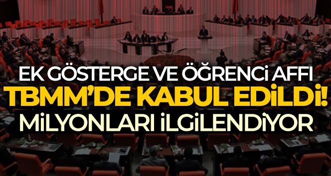 Devlet memurları ile ilgili düzenlemeler, emekli aylıkları gibi konuları içeren teklif TBMM'de kabul edildi