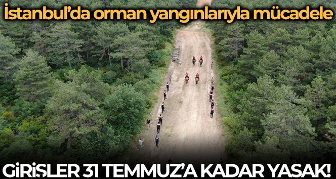 İstanbul'da ormanlık alanlara girişler 31 Temmuz'a kadar yasaklandı