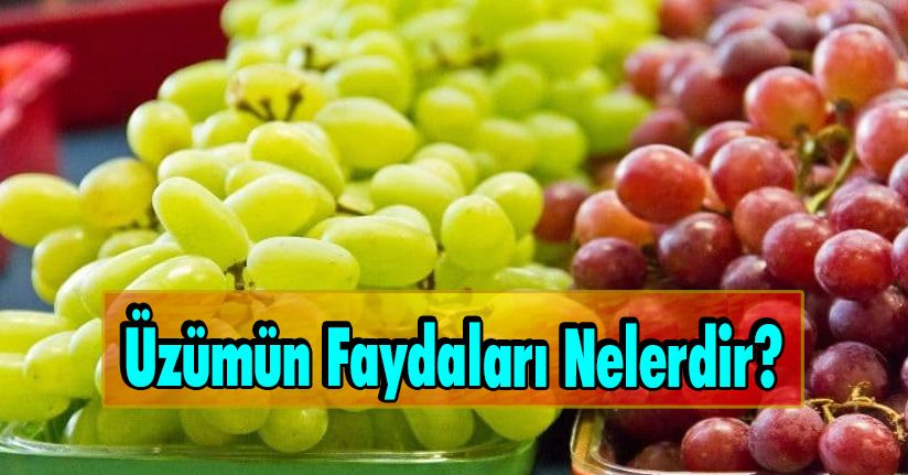 Üzümün Faydaları Nelerdir? 