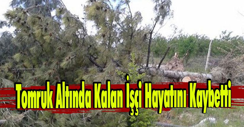Tomruk Altında Kalan İşçi Hayatını Kaybetti