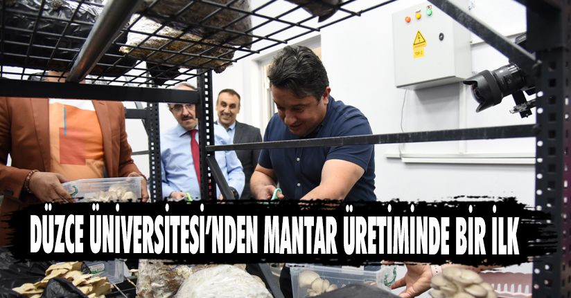 Düzce Üniversitesi’nden Mantar Üretiminde Bir İlk