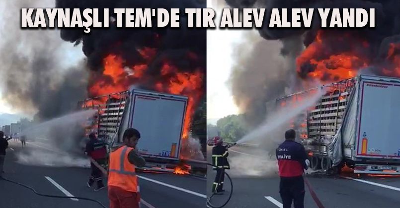 Kaynaşlı TEM'de Tır Alev Alev Yandı