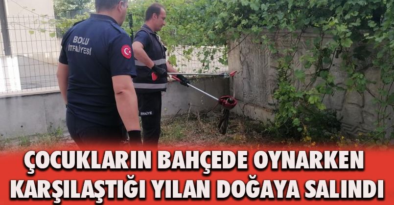 Çocukların bahçede oynarken karşılaştığı yılan doğaya salındı