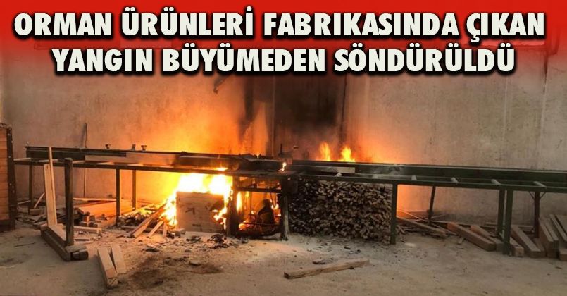 Orman ürünleri fabrikasında çıkan yangın büyümeden söndürüldü