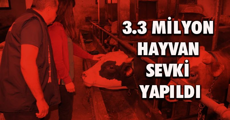 3.3 milyon hayvan sevki yapıldı